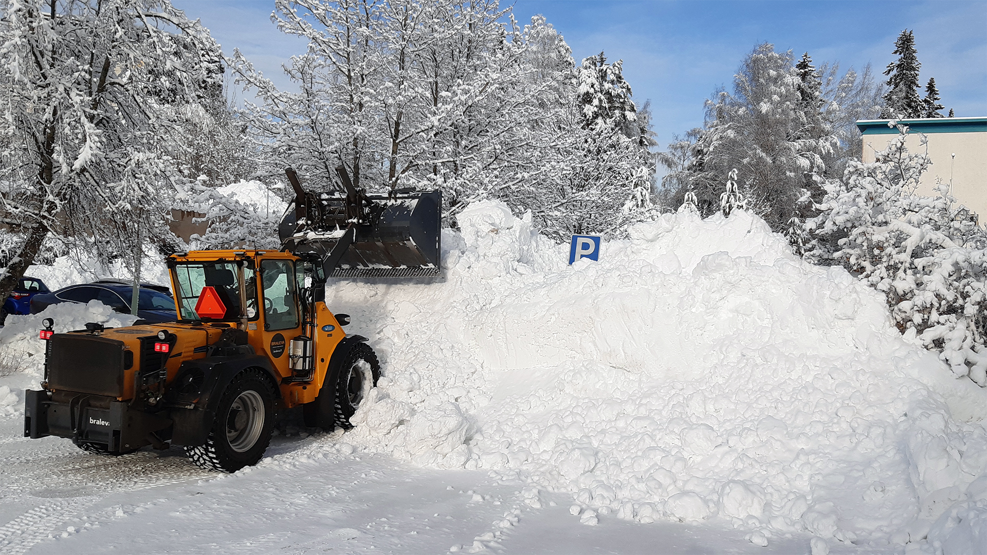 Keltainen pyöräkuormaaja nostaa kauhallaan suurta lumikasaa aurinkoisella parkkialueella; taustalla lumiset puut ja P-parkki-merkki.